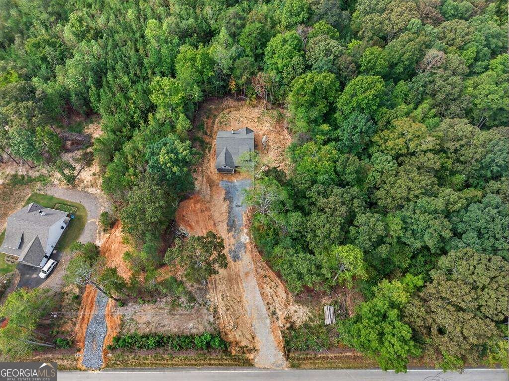 7824 Georgia Highway 100 Buchanan - Photo 42
