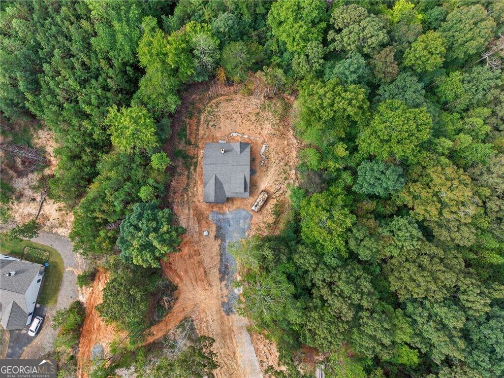 7824 Georgia Highway 100 Buchanan - Photo 43