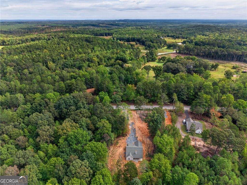 7824 Georgia Highway 100 Buchanan - Photo 44