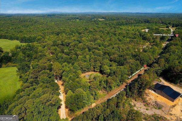 7824 Georgia Highway 100 Buchanan - Photo 53