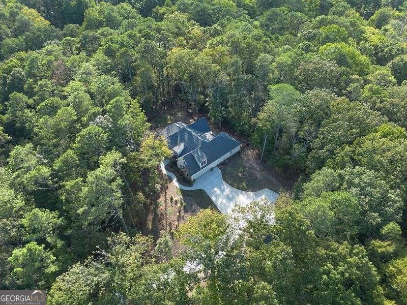11 Headden Ridge Cartersville - Photo 62