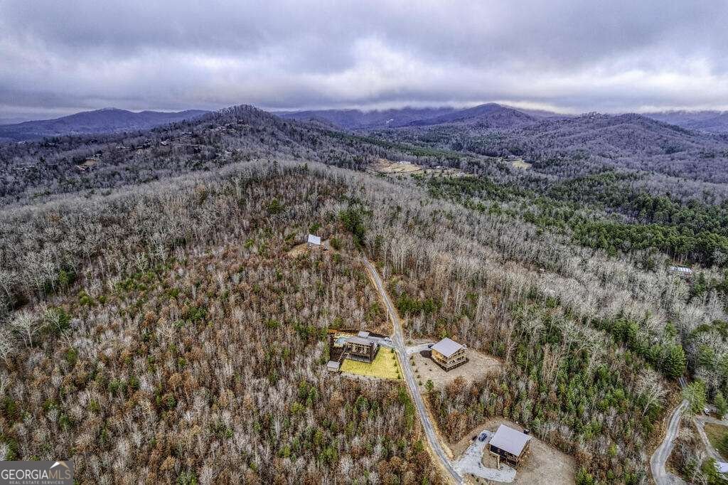 1083 Synacia Drive Mineral Bluff - Photo 62