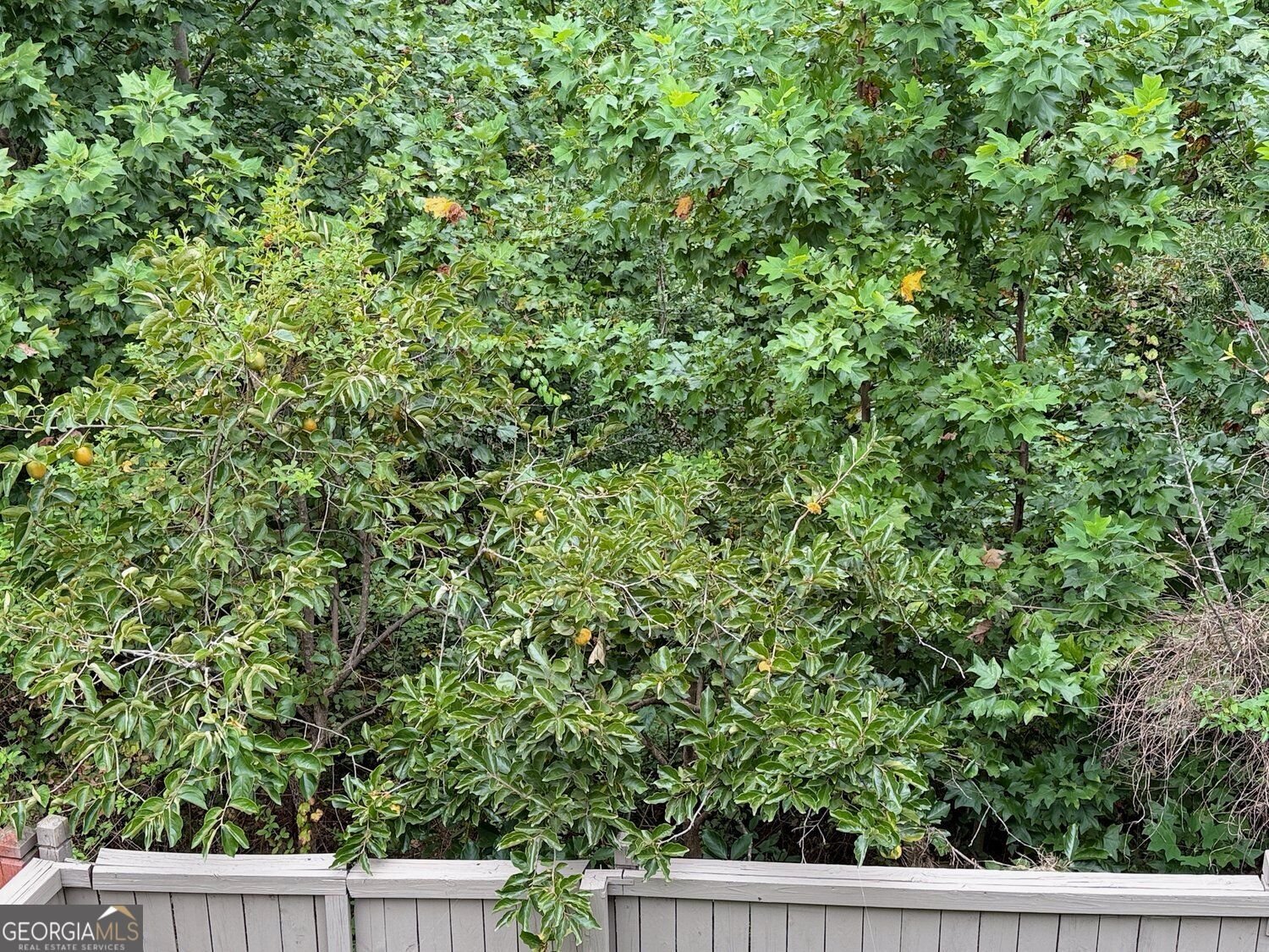 3525 Flycatcher Way Duluth - Photo 16