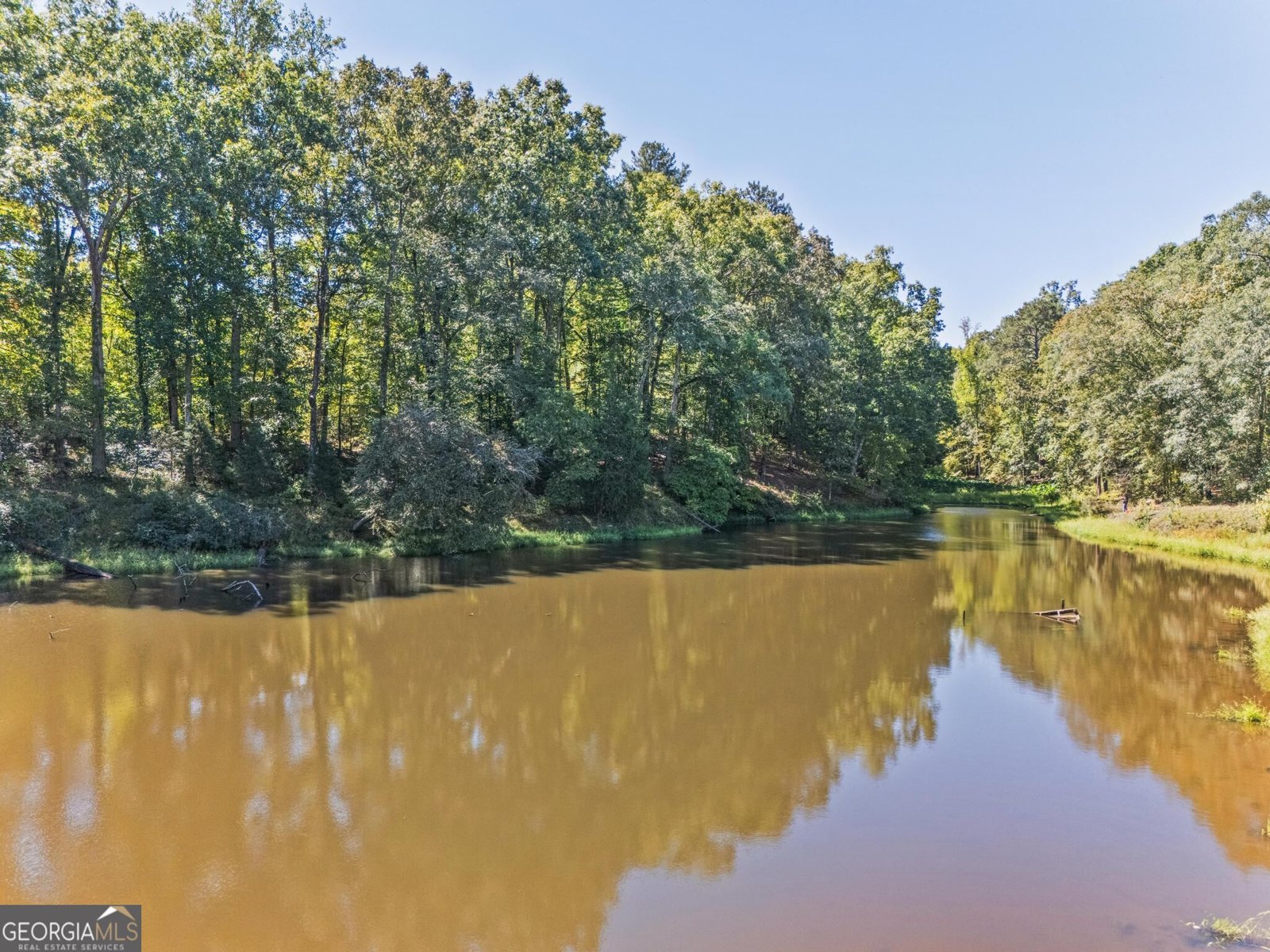 2993 Highway 42 Forsyth - Photo 30