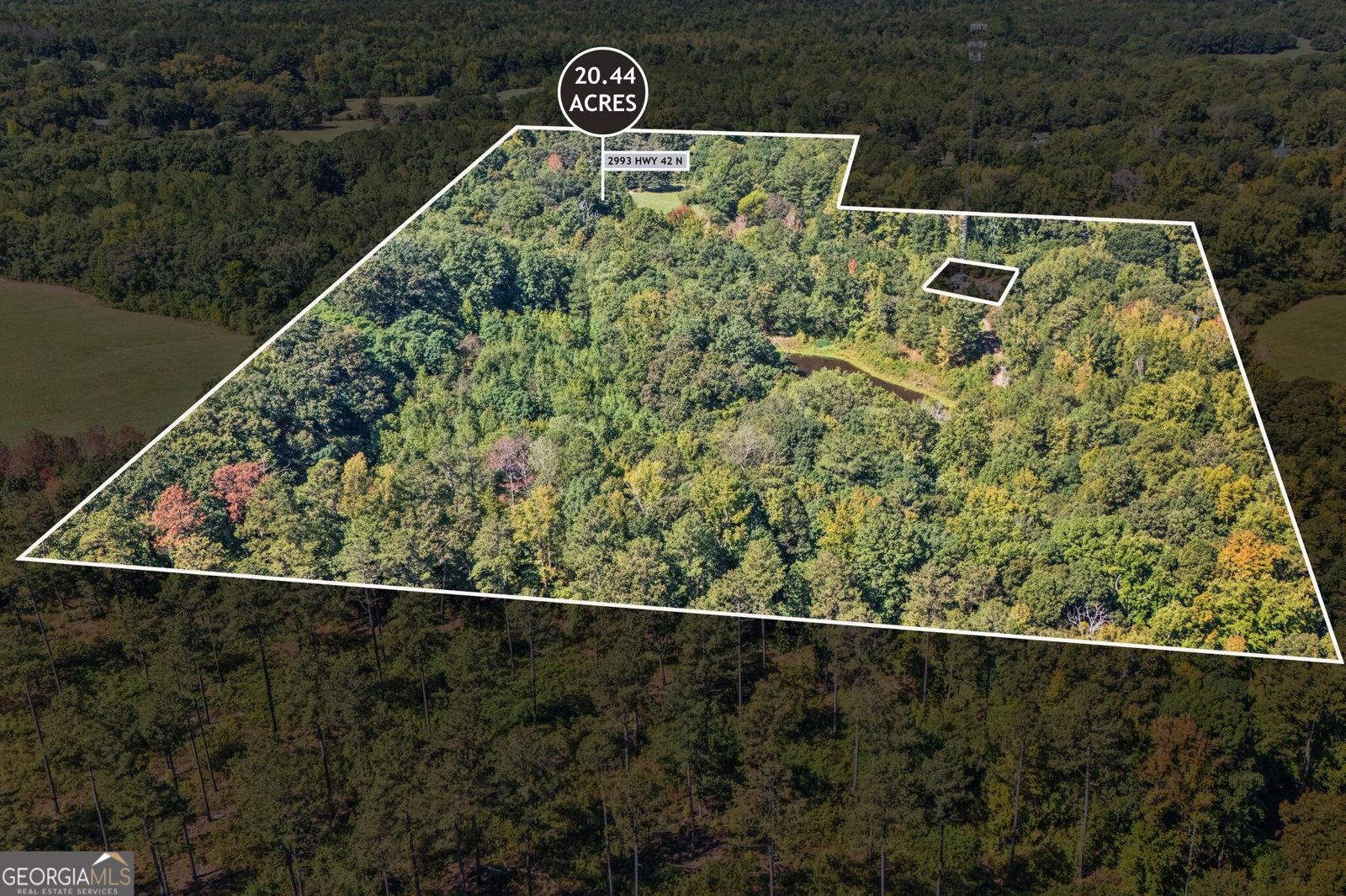 2993 Highway 42 Forsyth - Photo 33