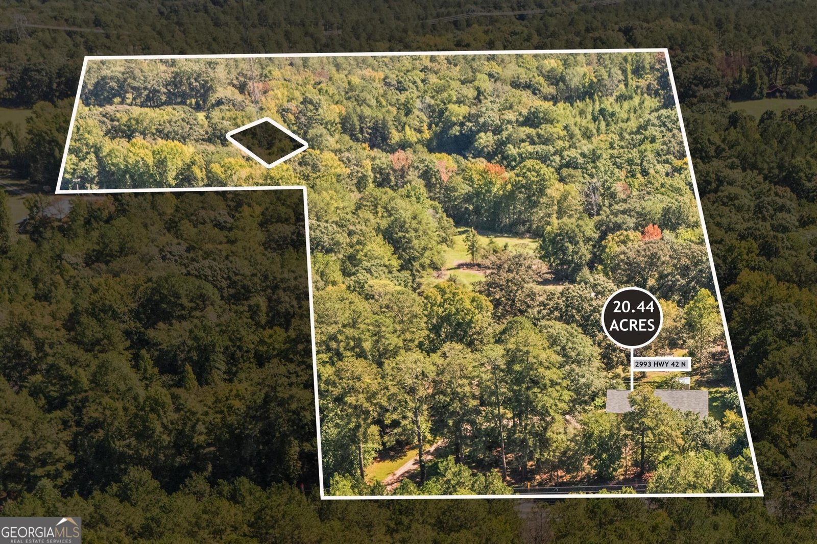 2993 Highway 42 Forsyth - Photo 34