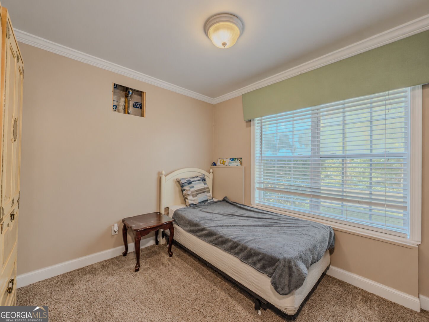 6910 Autumn Hills Drive Cumming - Photo 33