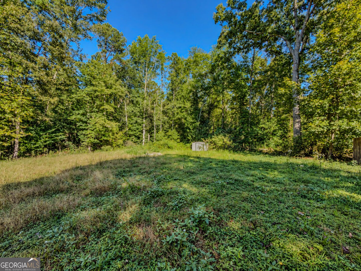 6910 Autumn Hills Drive Cumming - Photo 43