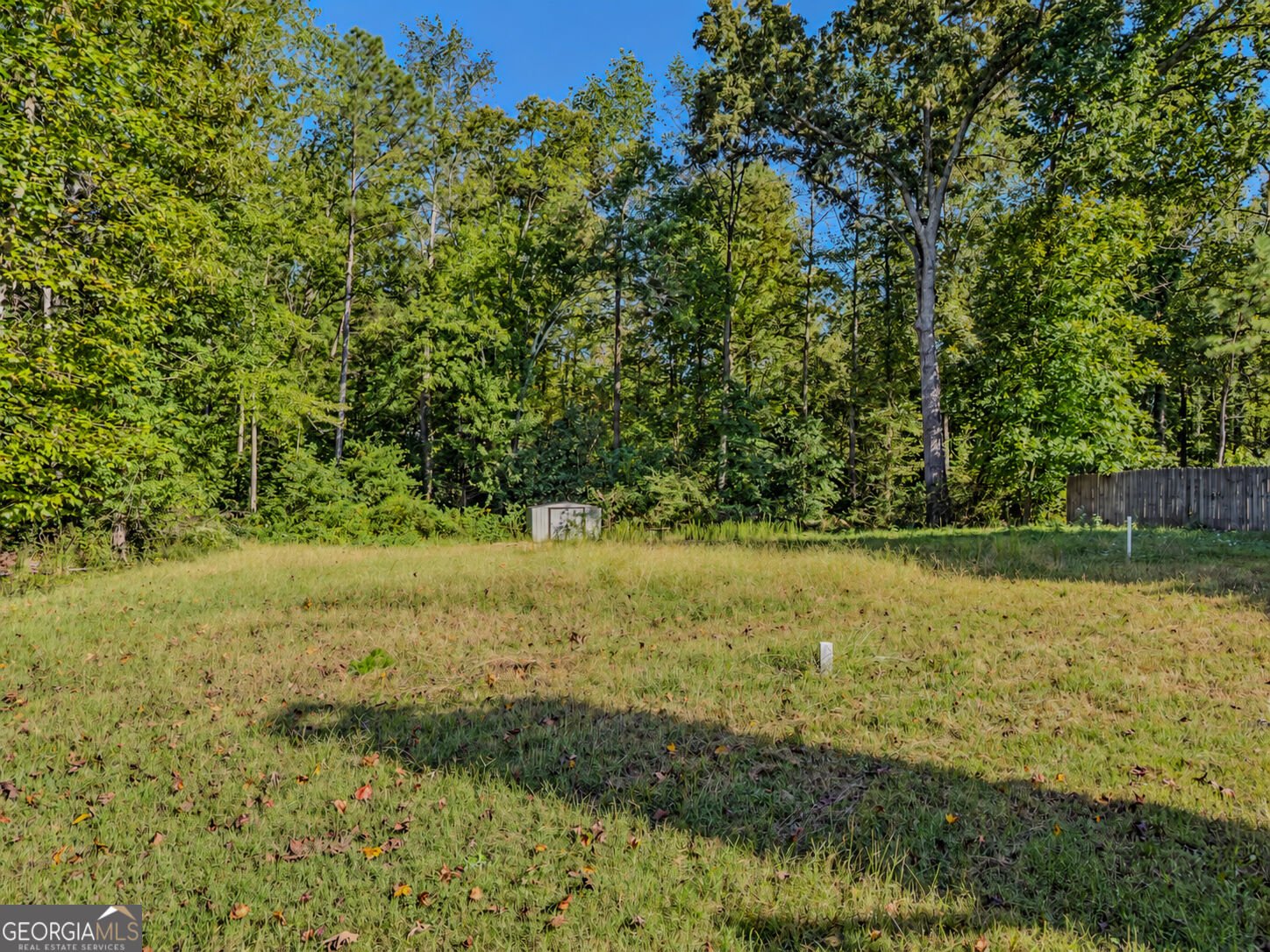 6910 Autumn Hills Drive Cumming - Photo 44
