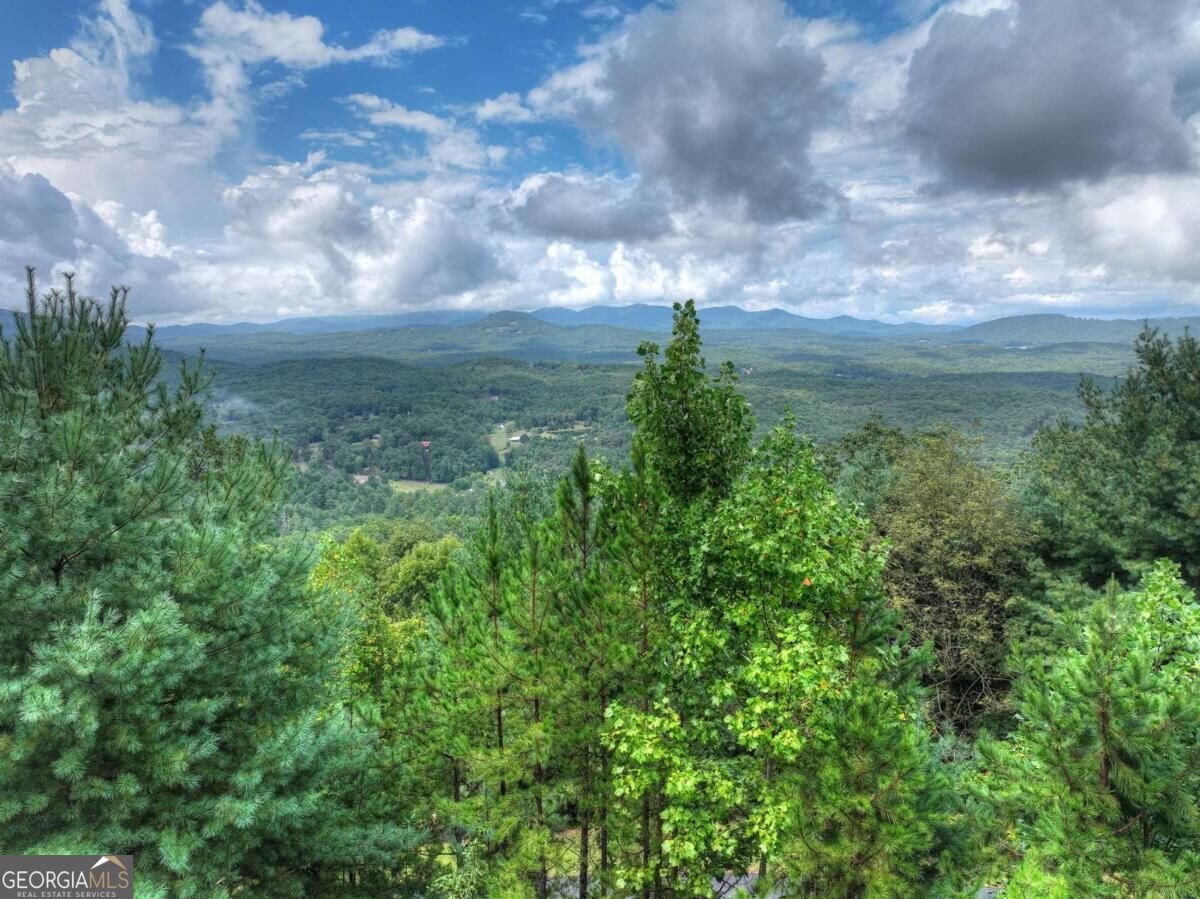 120 Ada Ridge Road Mineral Bluff - Photo 28