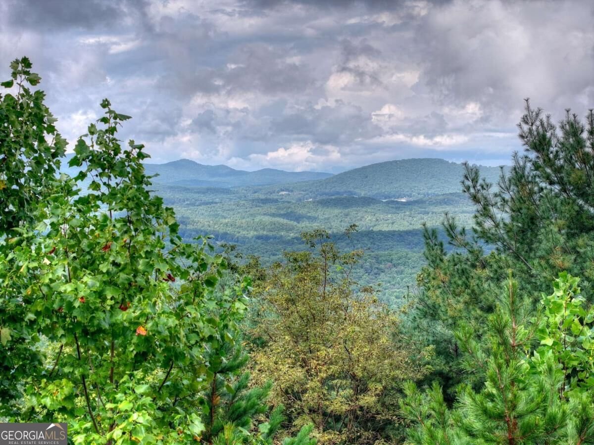 120 Ada Ridge Road Mineral Bluff - Photo 57
