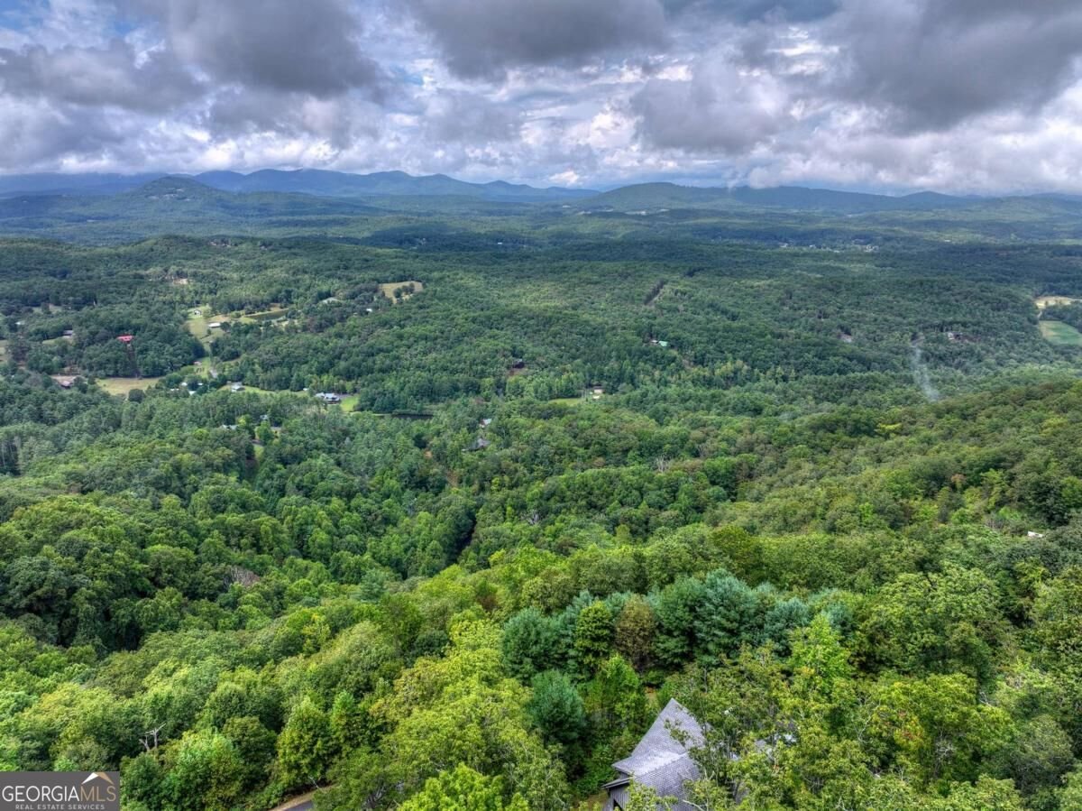 120 Ada Ridge Road Mineral Bluff - Photo 60