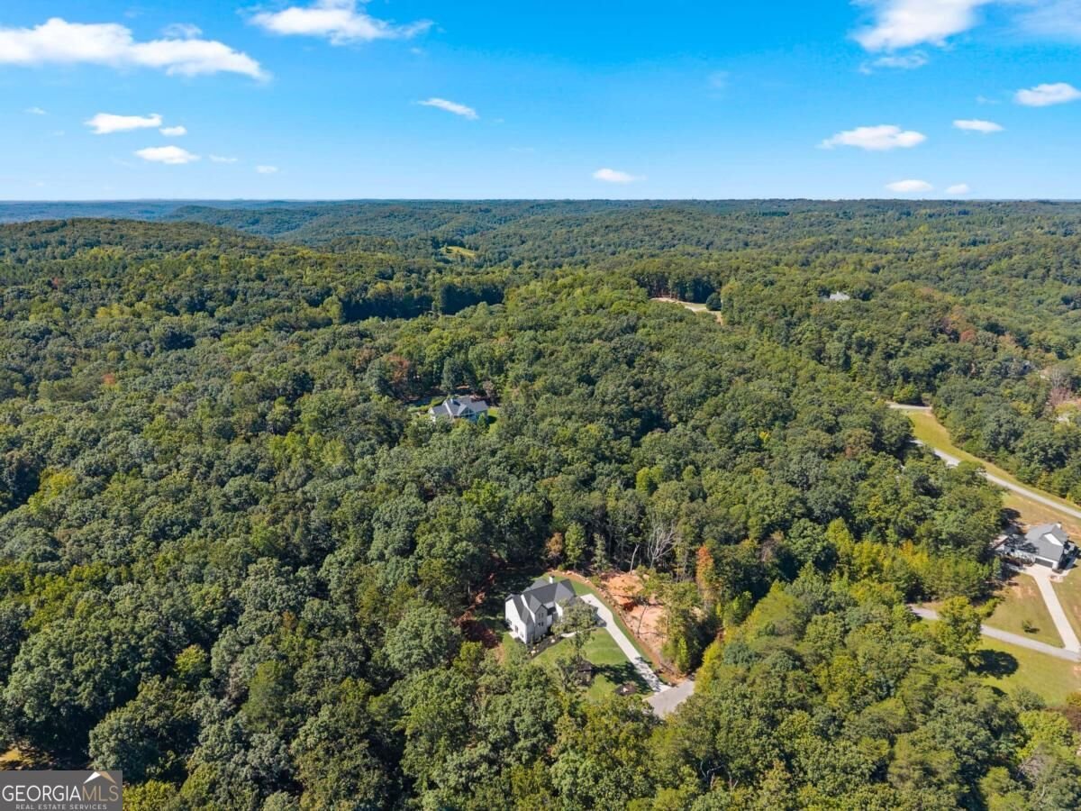 136 Lakeview Way Baldwin - Photo 72