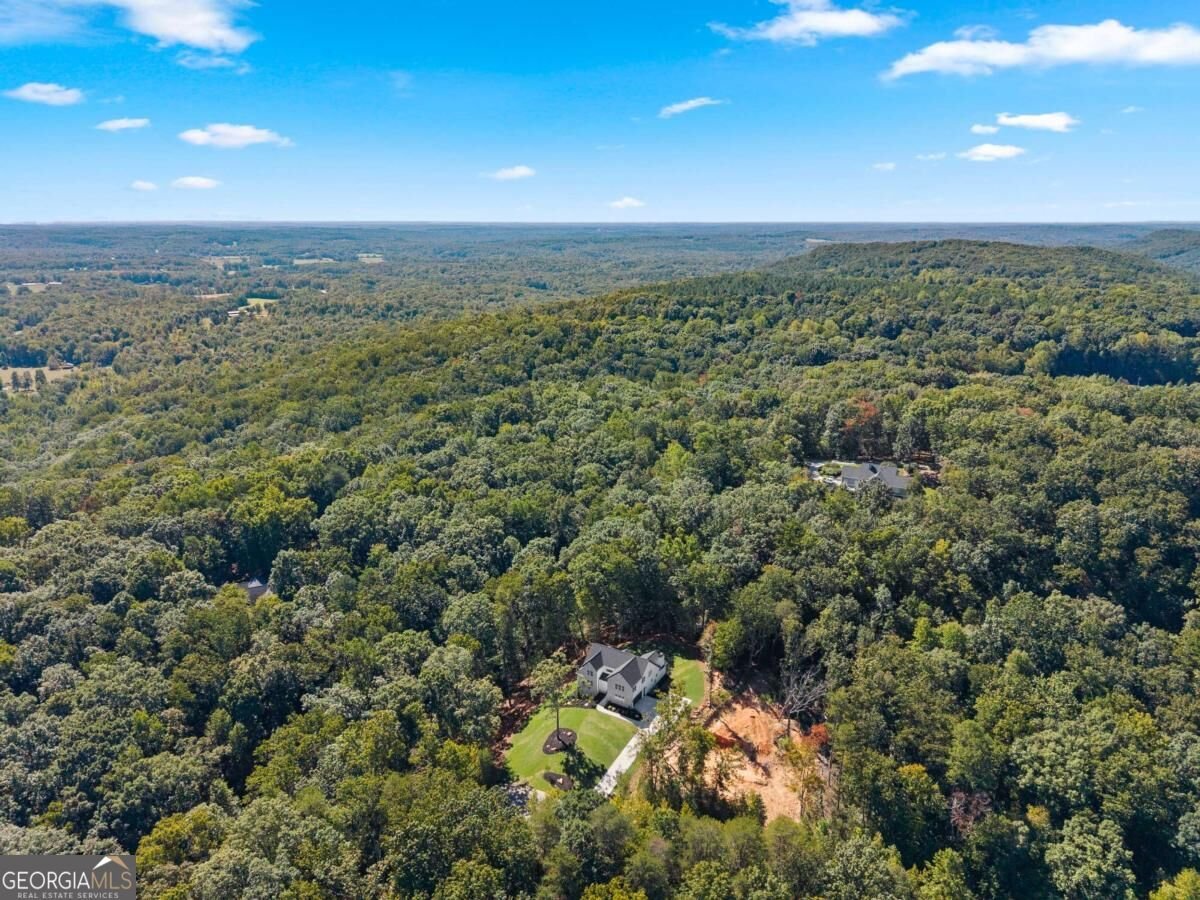 136 Lakeview Way Baldwin - Photo 73