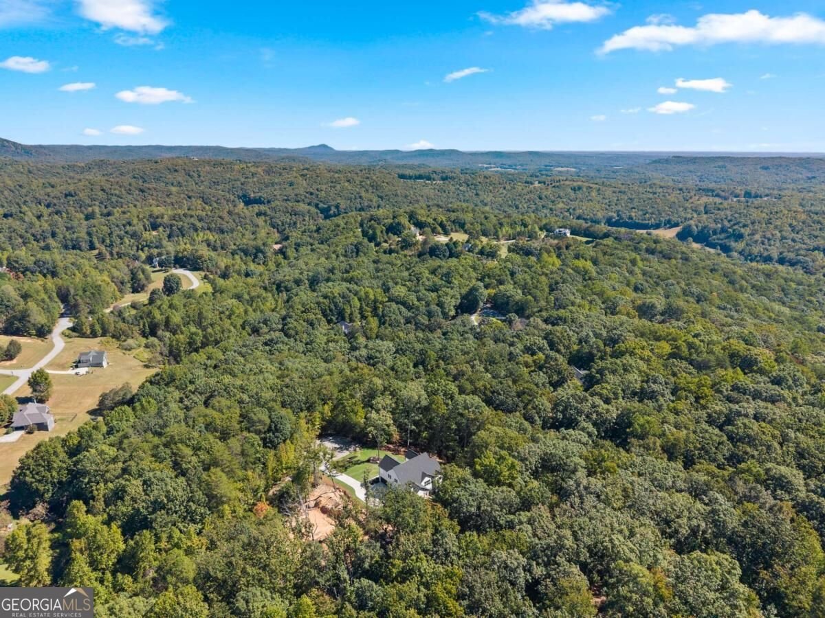 136 Lakeview Way Baldwin - Photo 74