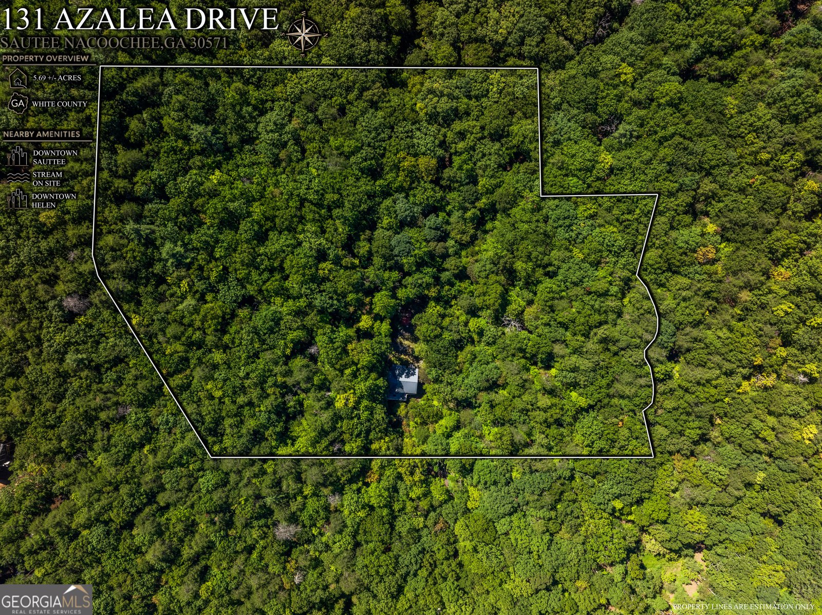131 Azalea Drive Sautee Nacoochee - Photo 50