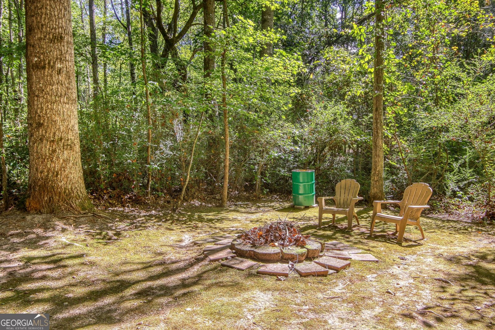 15 Grange Way Sharpsburg - Photo 51