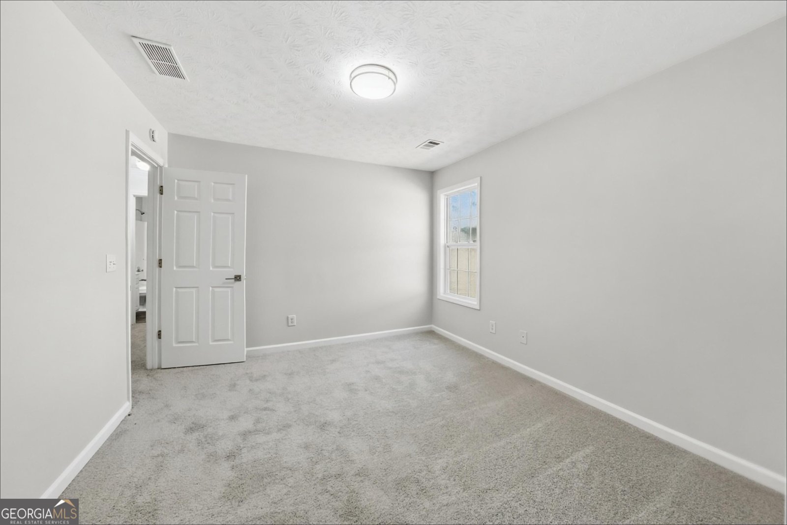 429 Blue Creek Lane Loganville - Photo 18