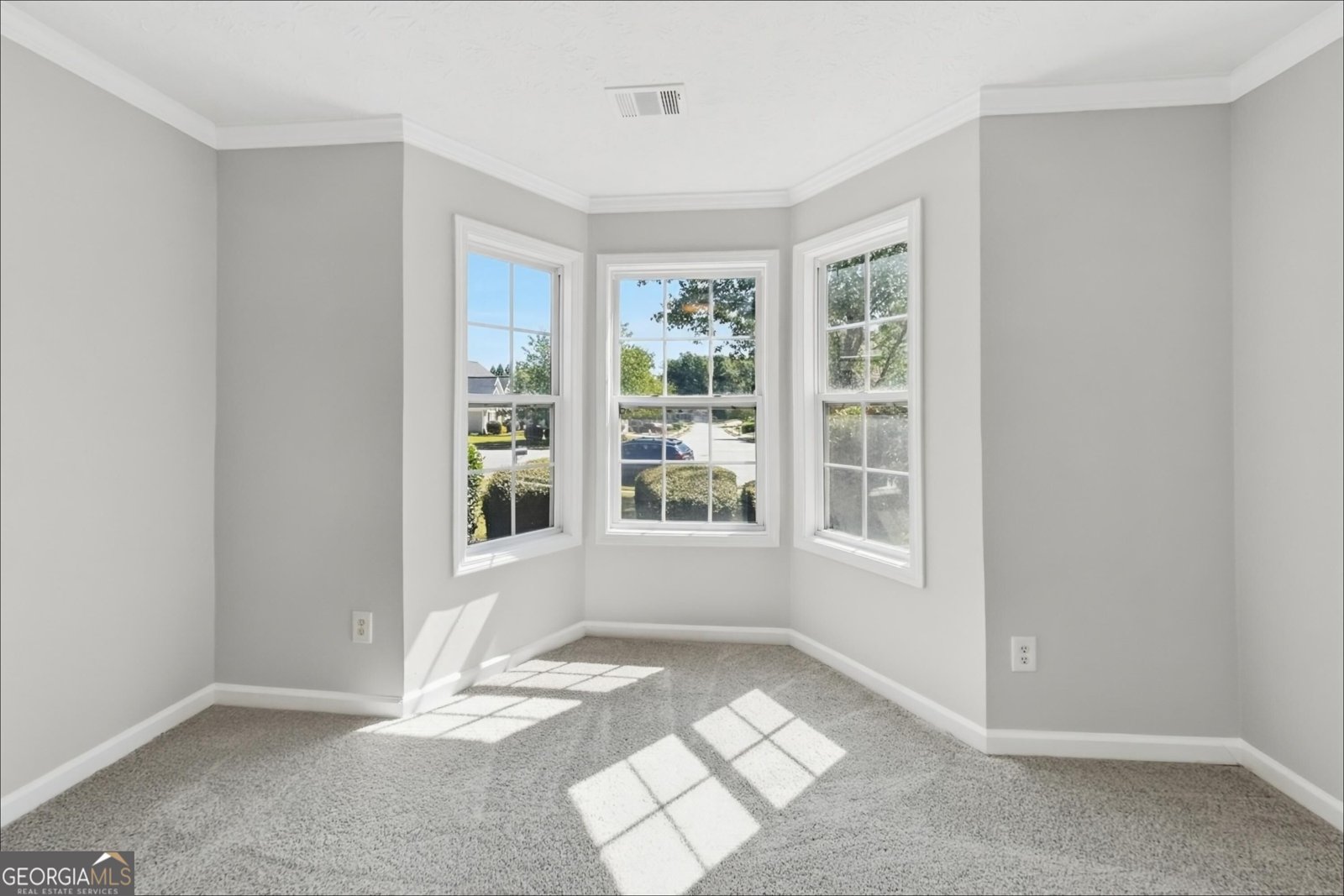 429 Blue Creek Lane Loganville - Photo 24