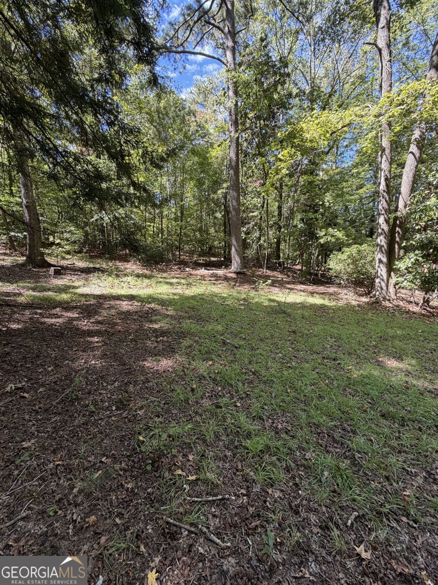 6225 Tennis Drive Fairburn - Photo 25