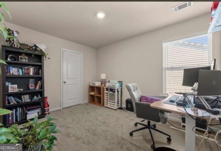 755 Walnut Creek Circle Pendergrass - Photo 19