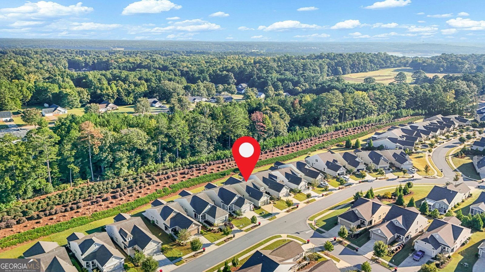 245 Brunswick Drive Griffin - Photo 24