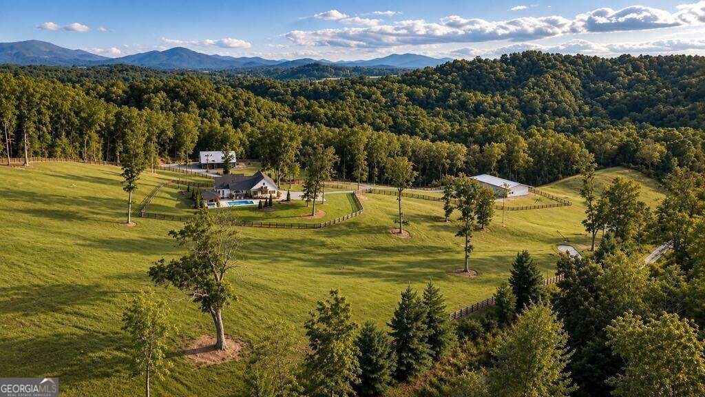 353 Sowers Road Blue Ridge - Photo 59