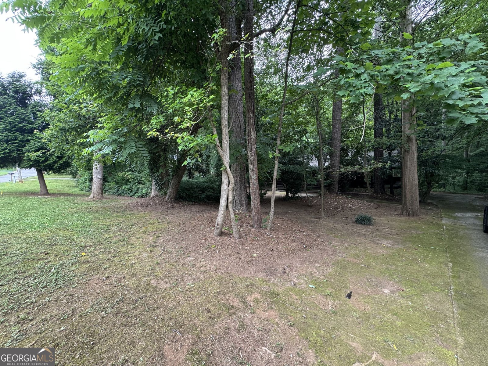 6545 Pleasant Drive Winston - Photo 45