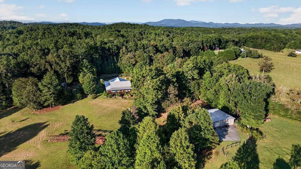 210 Pierceville Road Mccaysville - Photo 65