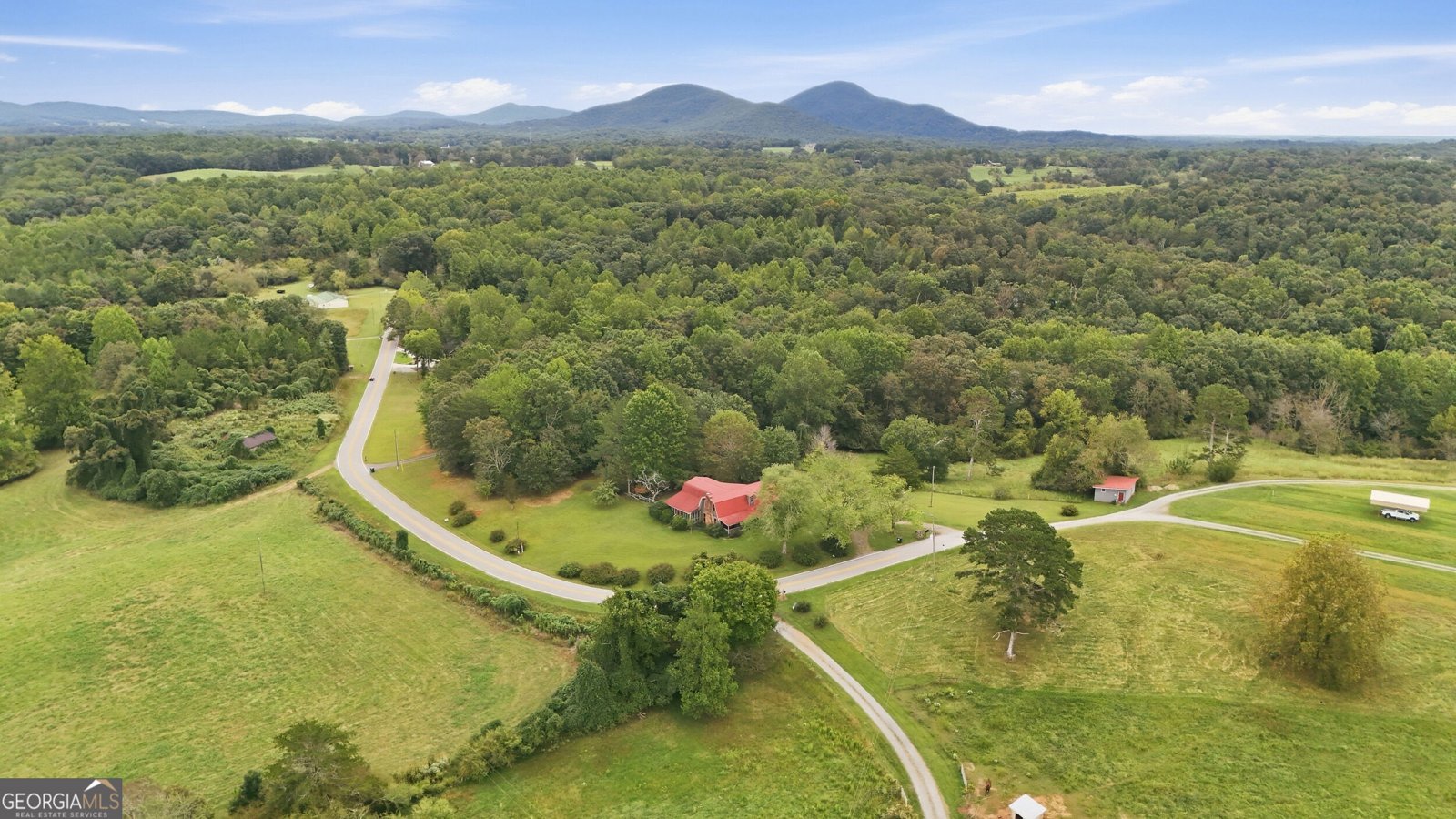 1303 Mount Zion Church Road Murrayville - Photo 10