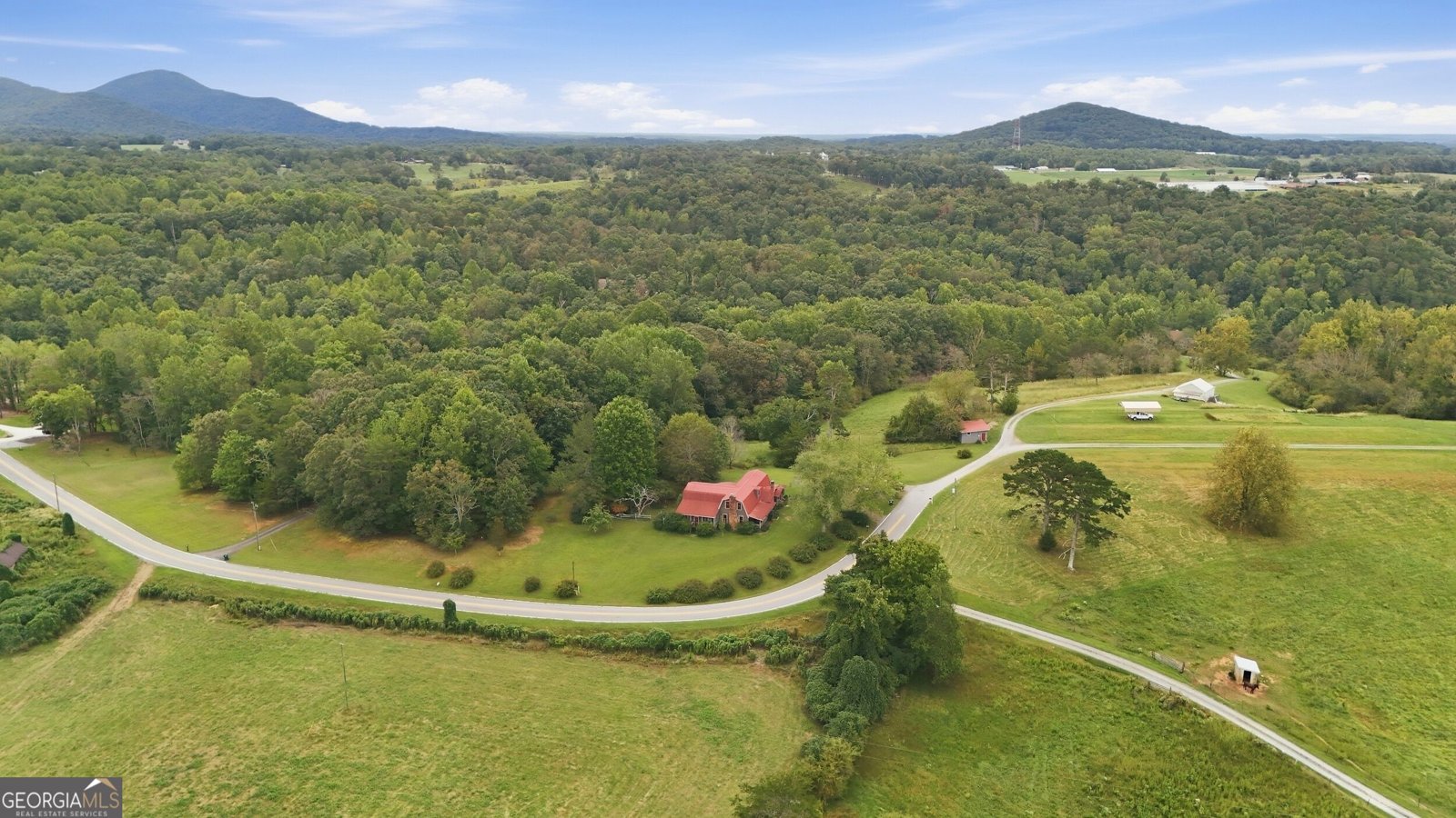 1303 Mount Zion Church Road Murrayville - Photo 63
