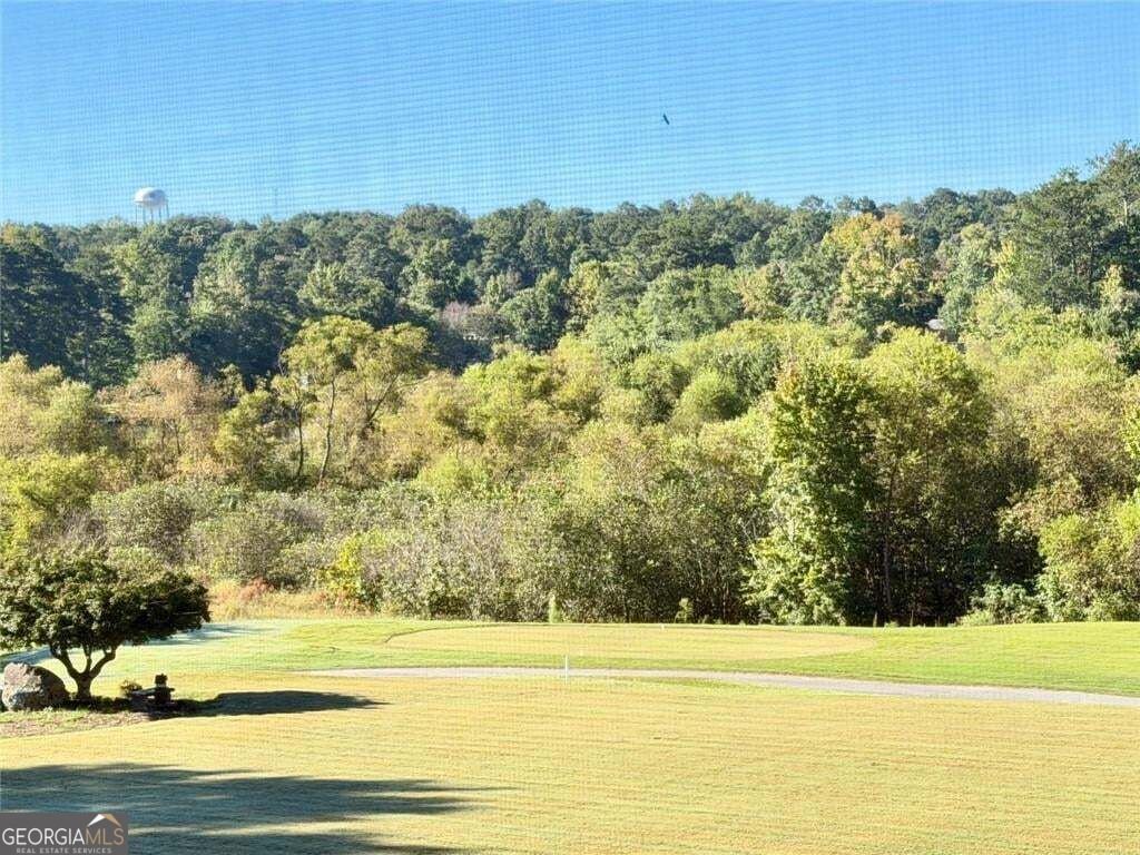2394 Shoreline Parkway Villa Rica - Photo 46