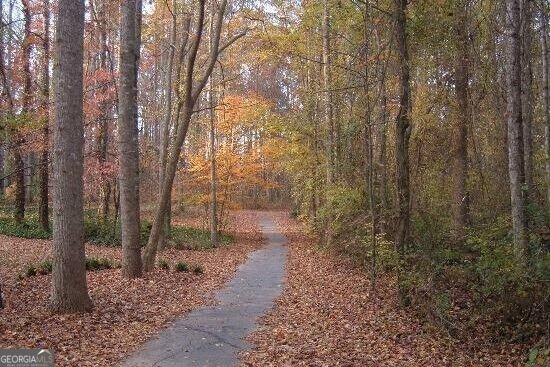 101 Oxford Court Peachtree City - Photo 40