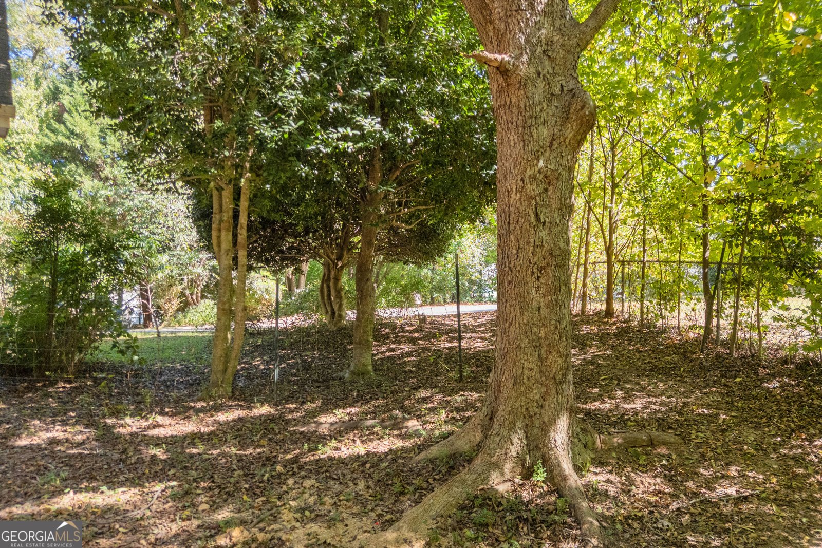 416 Tabby Lane Winder - Photo 17