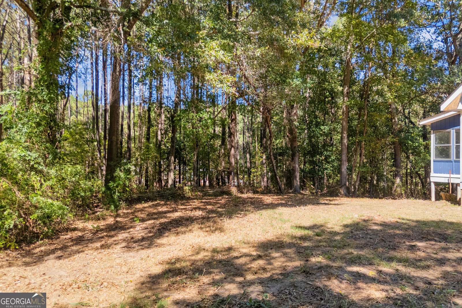 416 Tabby Lane Winder - Photo 6
