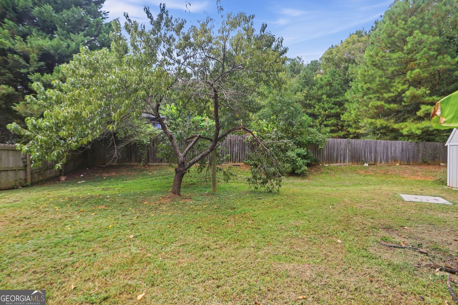 310 Kaden Court McDonough - Photo 33