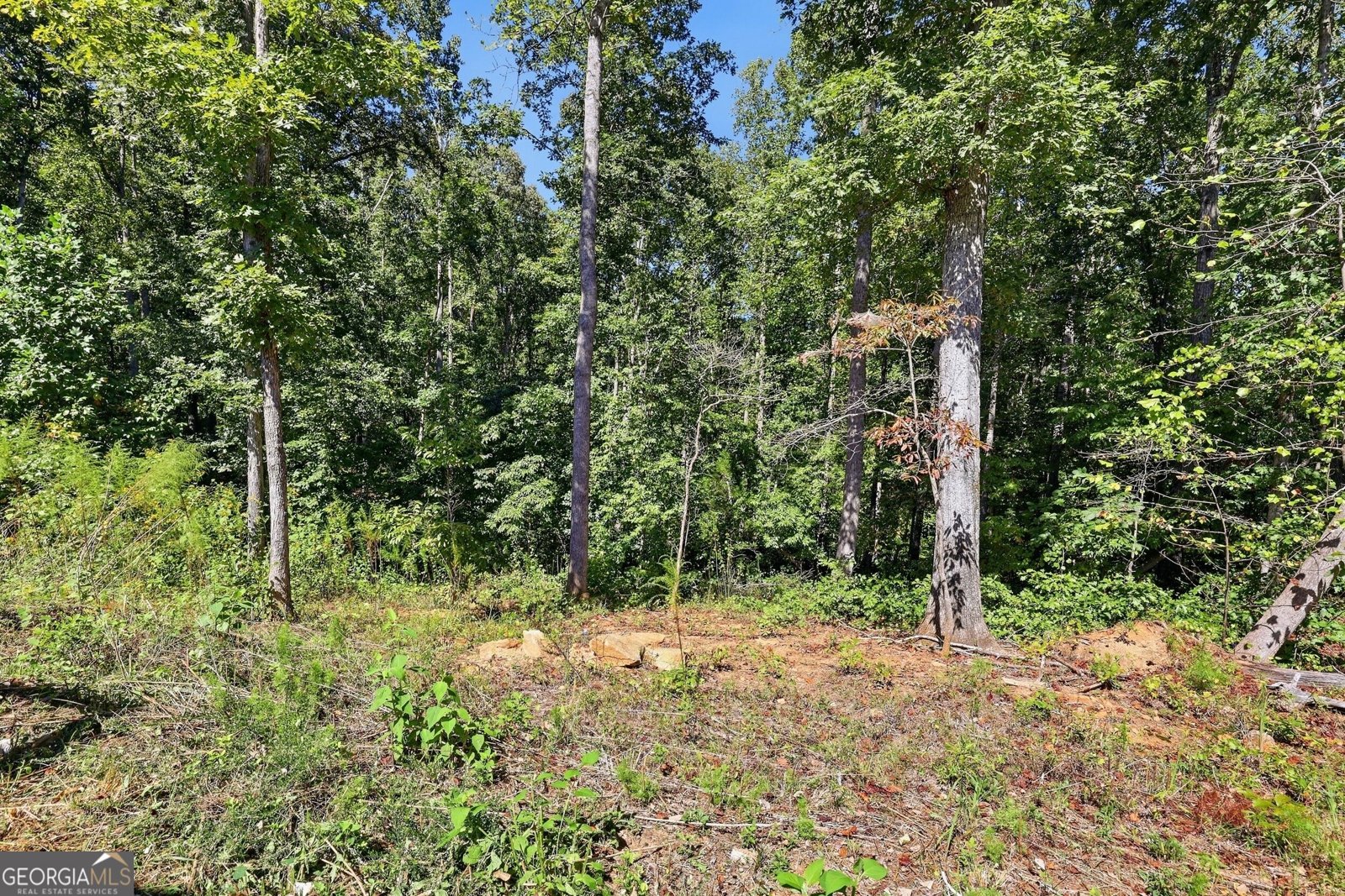 2421 Silver Shoals Road Toccoa - Photo 35