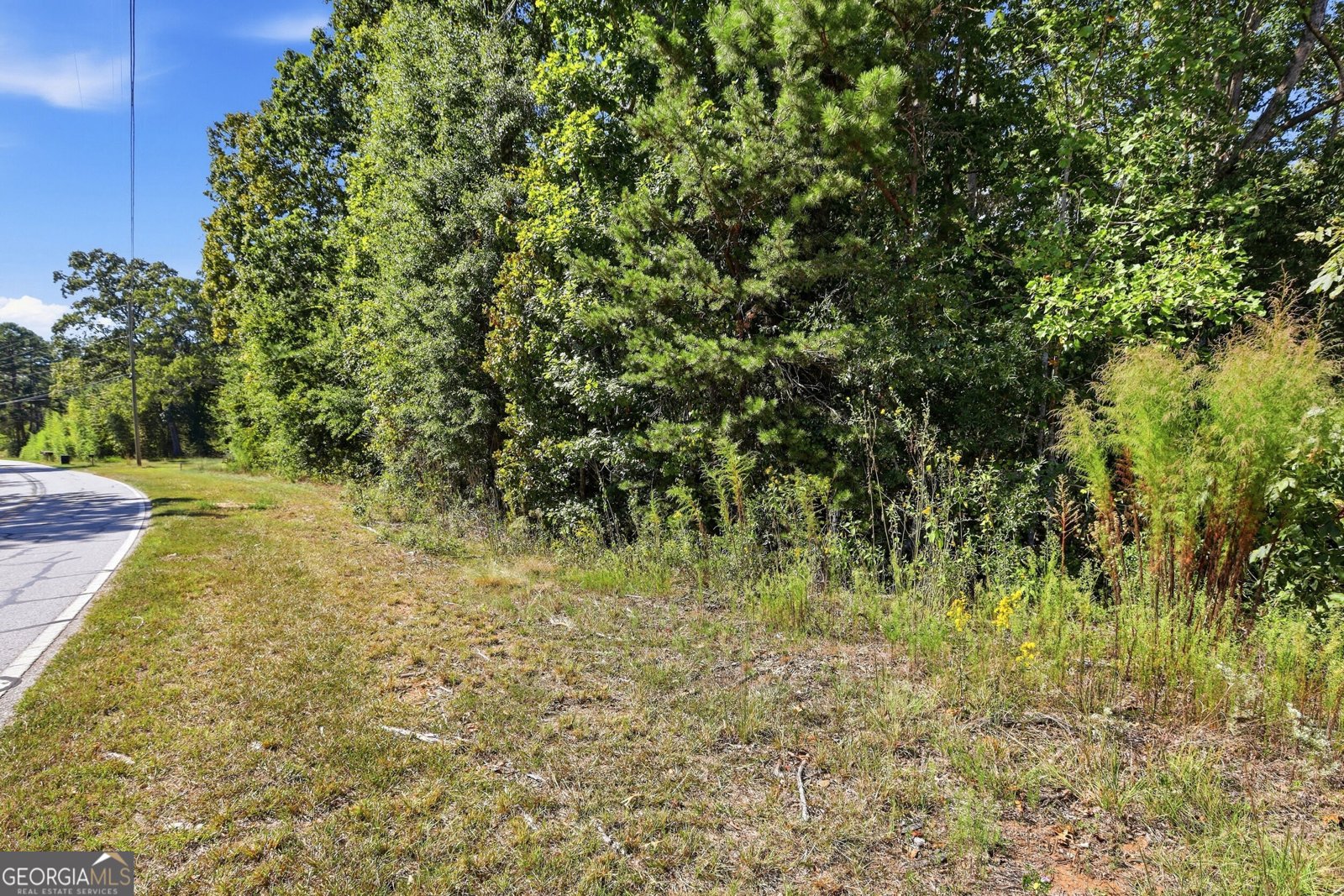 2421 Silver Shoals Road Toccoa - Photo 37