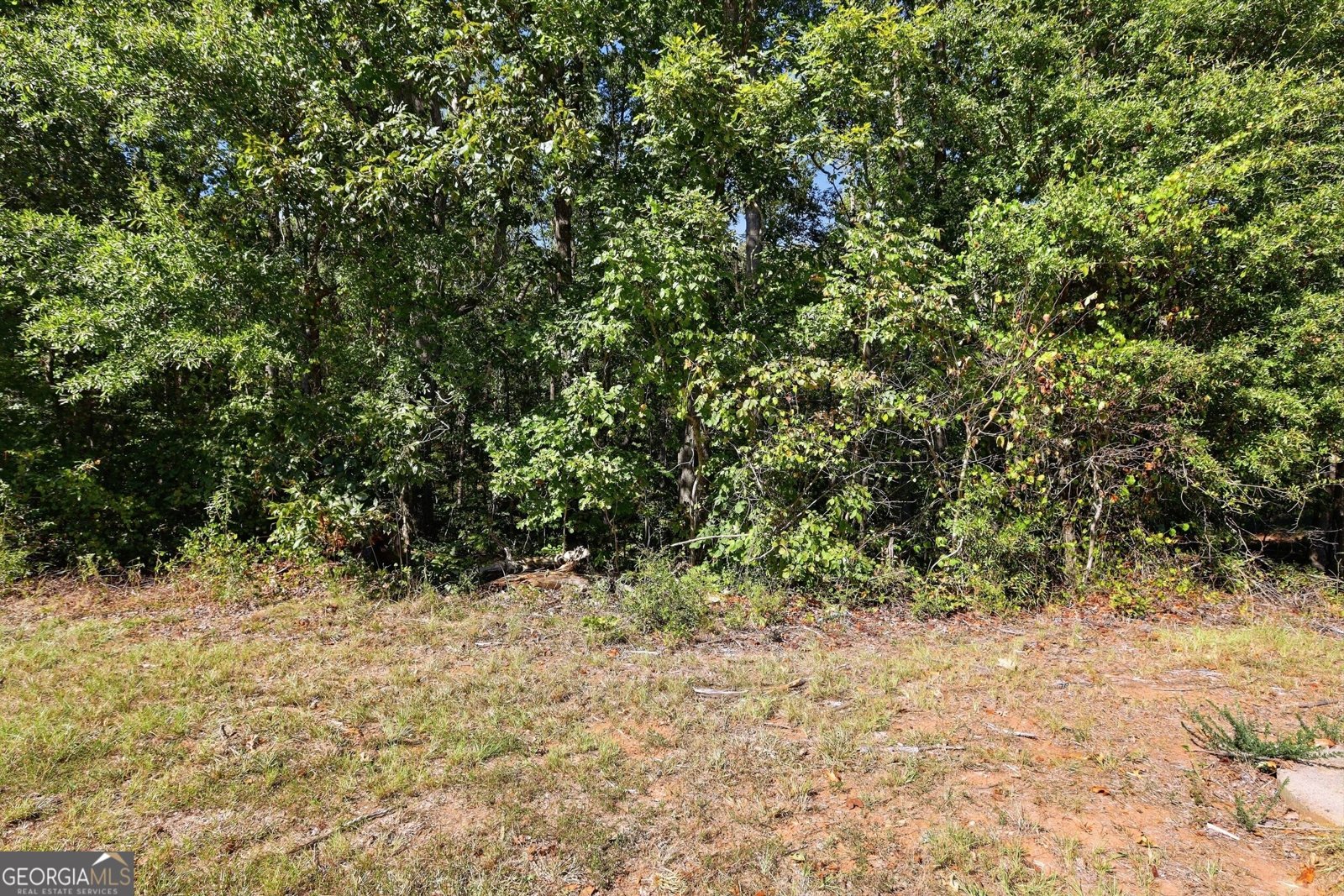 2421 Silver Shoals Road Toccoa - Photo 38