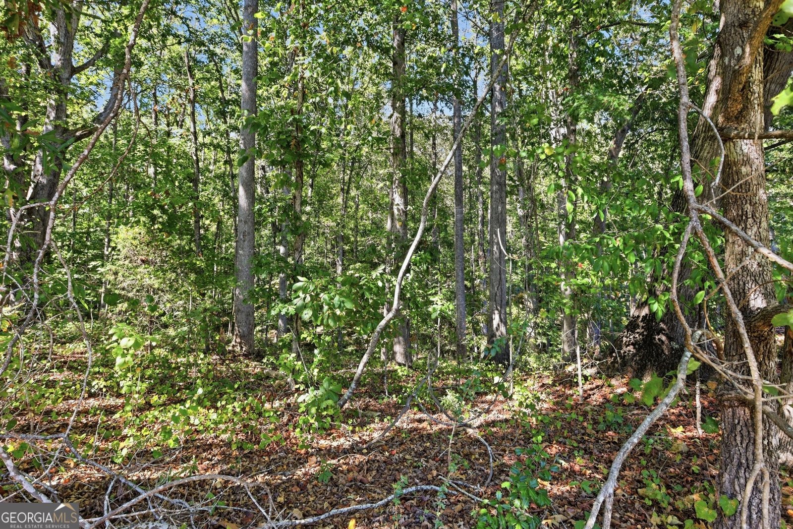 2421 Silver Shoals Road Toccoa - Photo 39