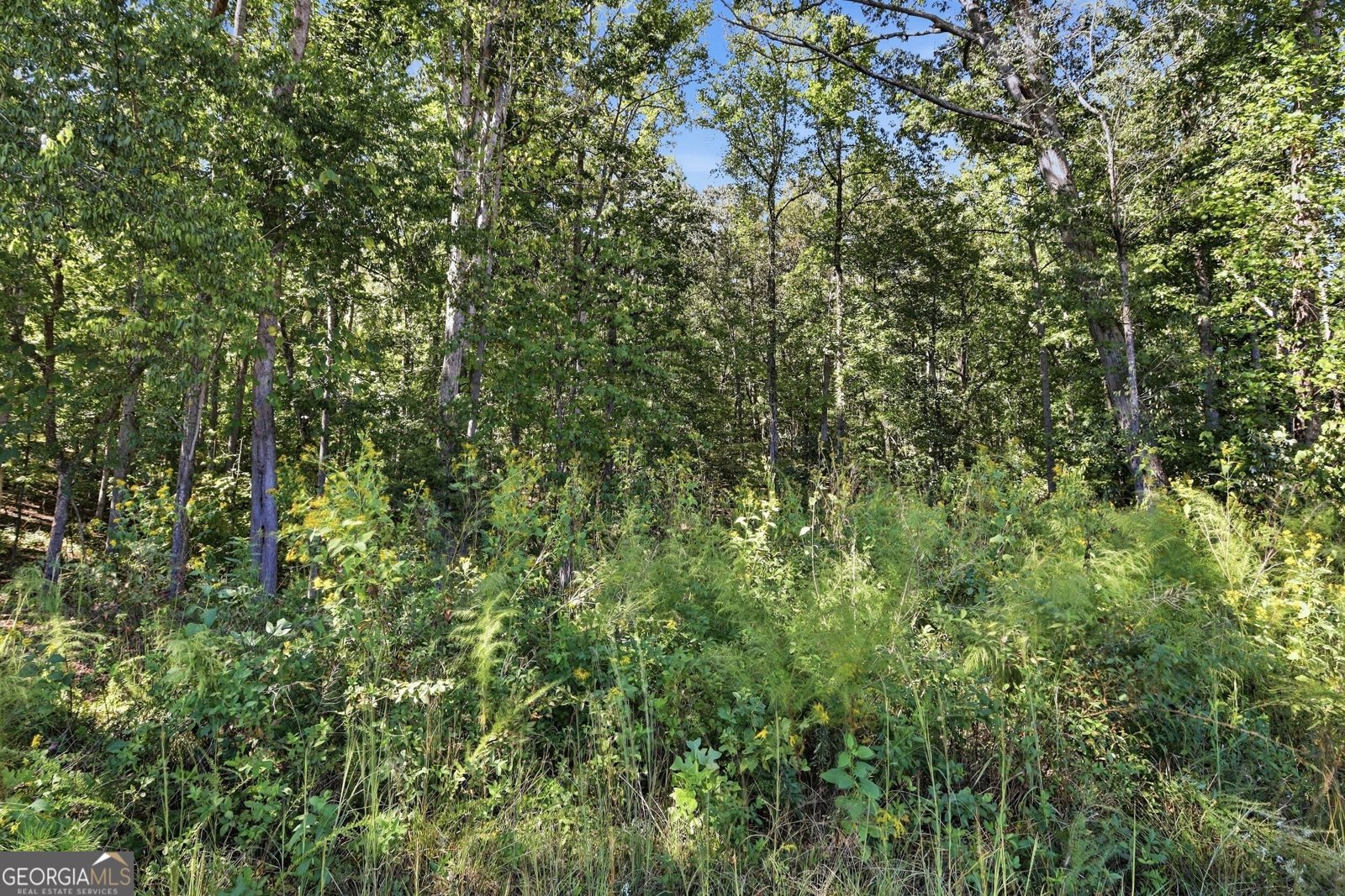 2421 Silver Shoals Road Toccoa - Photo 40