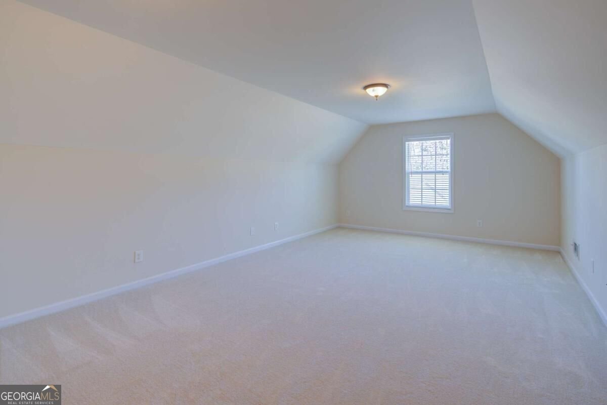 111 River Mill Lane Dawsonville - Photo 29
