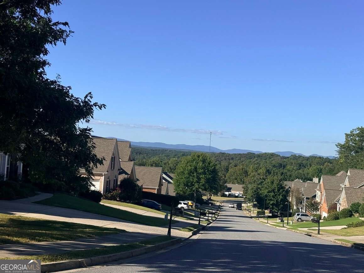 111 River Mill Lane Dawsonville - Photo 38