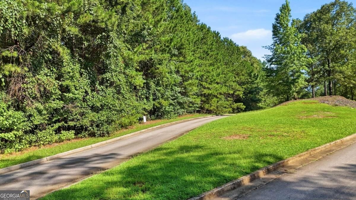 2053 Fontainbleau Drive Conyers - Photo 16