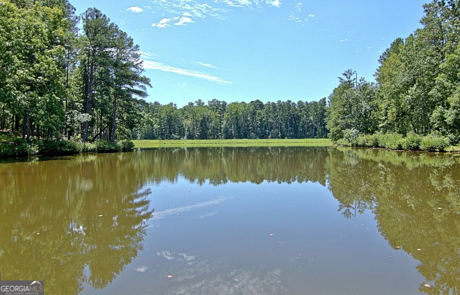 155 Boatwater Bend Peachtree City - Photo 100