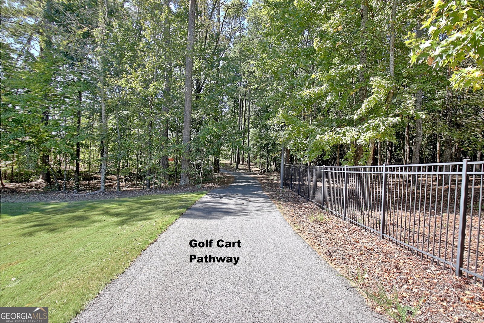 155 Boatwater Bend Peachtree City - Photo 93