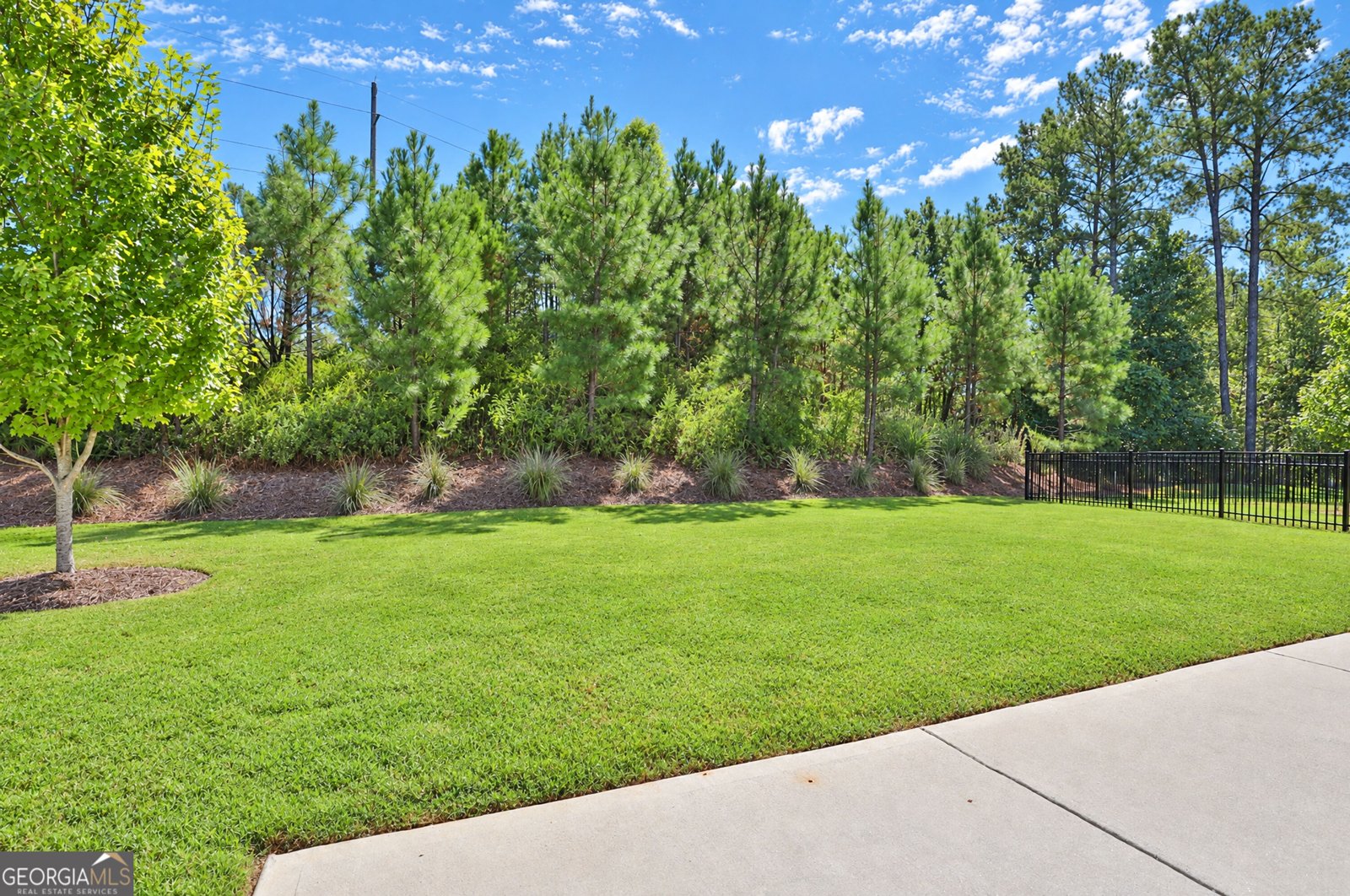 537 Hazelnut Drive Peachtree City - Photo 36