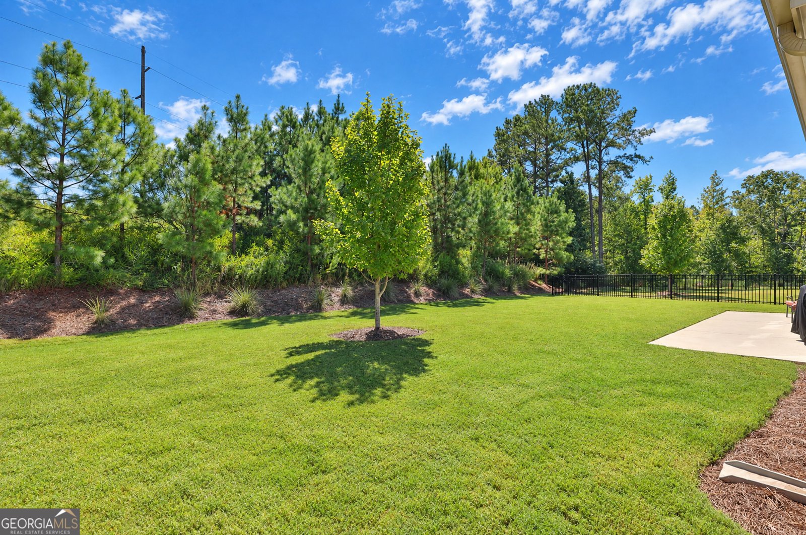 537 Hazelnut Drive Peachtree City - Photo 38