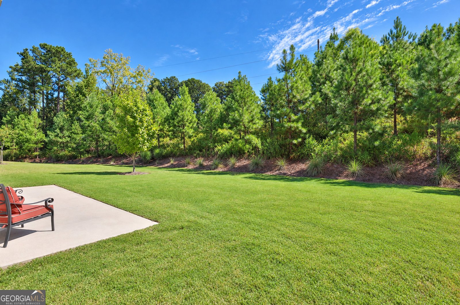 537 Hazelnut Drive Peachtree City - Photo 42