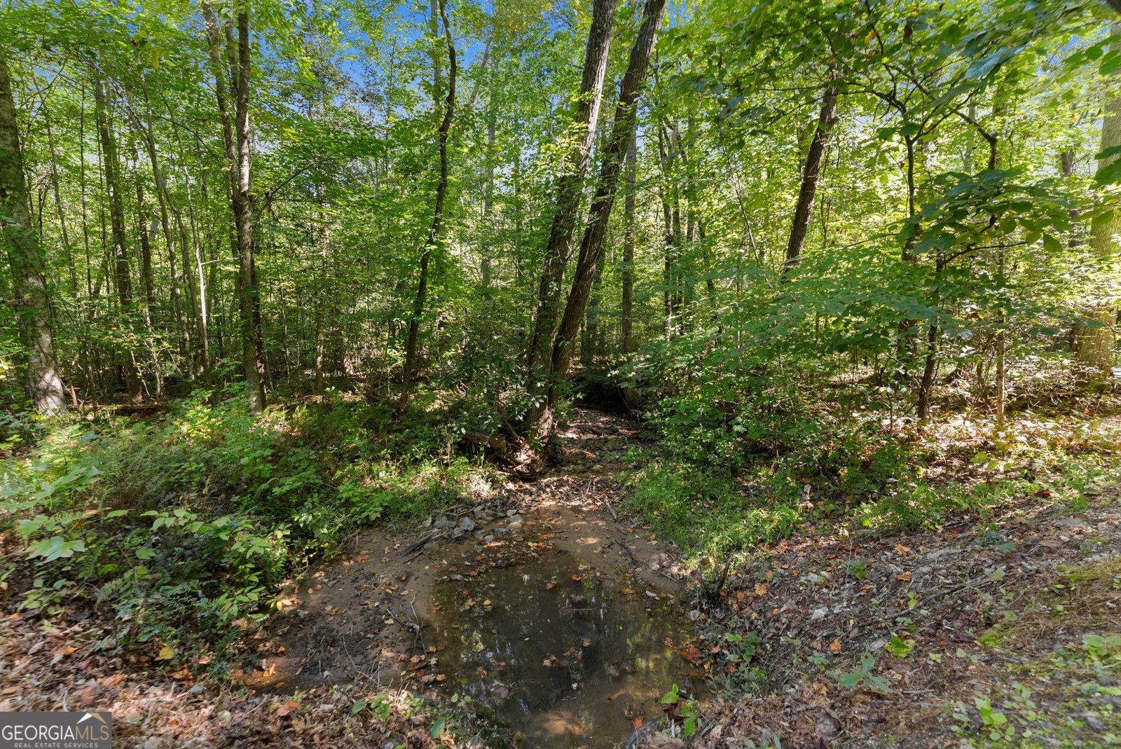 1014 Alpine Drive Sautee Nacoochee - Photo 47